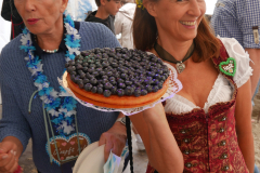 P1260671